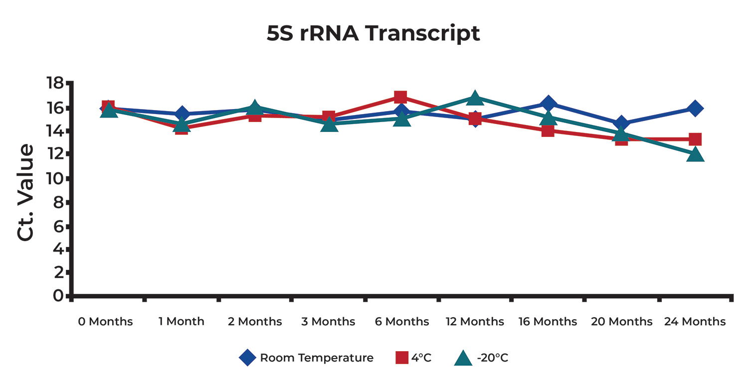 Figure 1. To test the integrity of the purified RNA